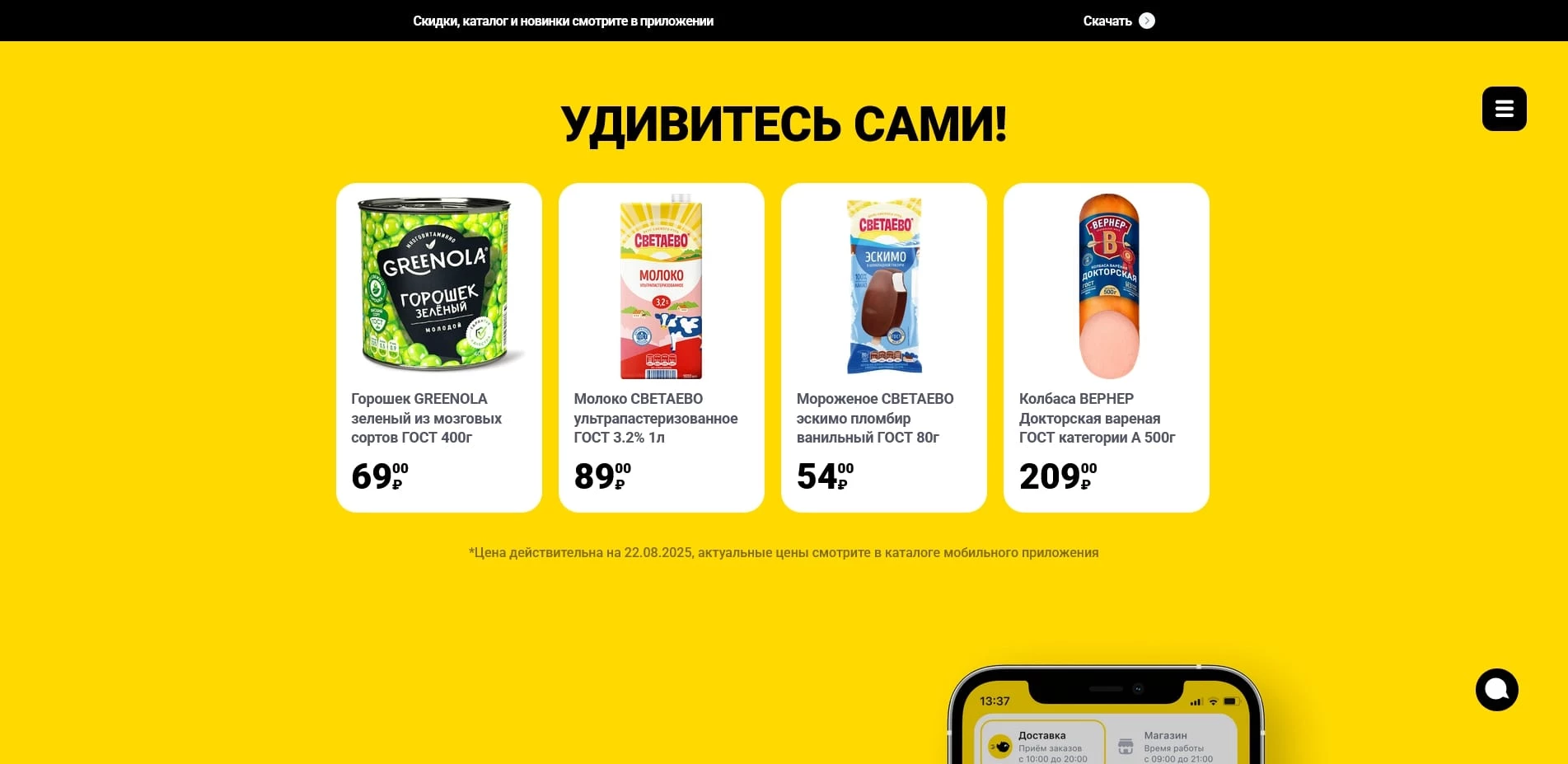 Чижик